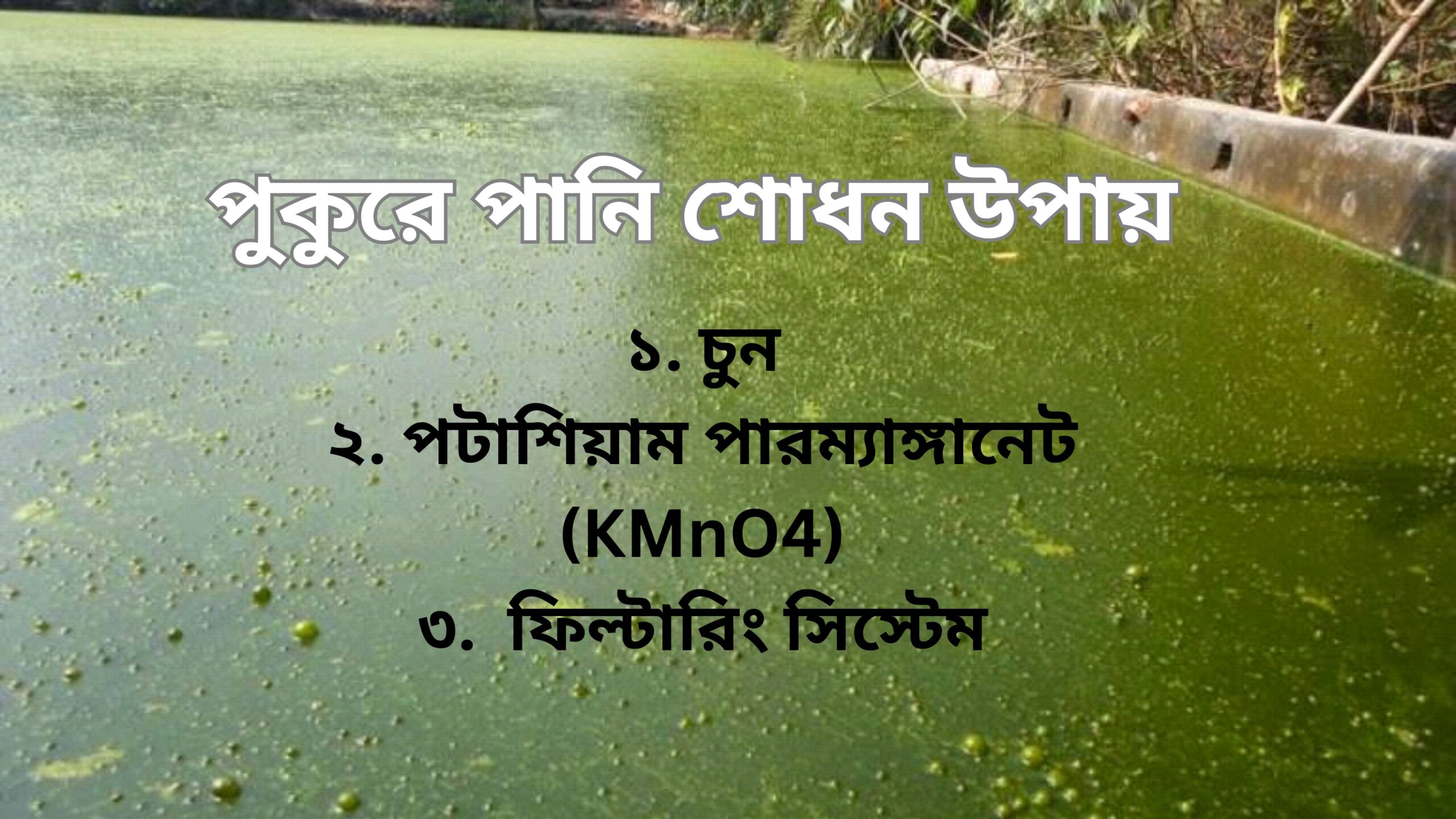 পুকুরে পানি শধনে কি কি ব্যবহার করা হয় scaled